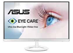 Monitor VZ249HE