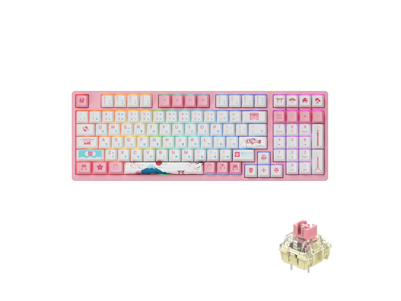 3098B World Tour Tokyo R2