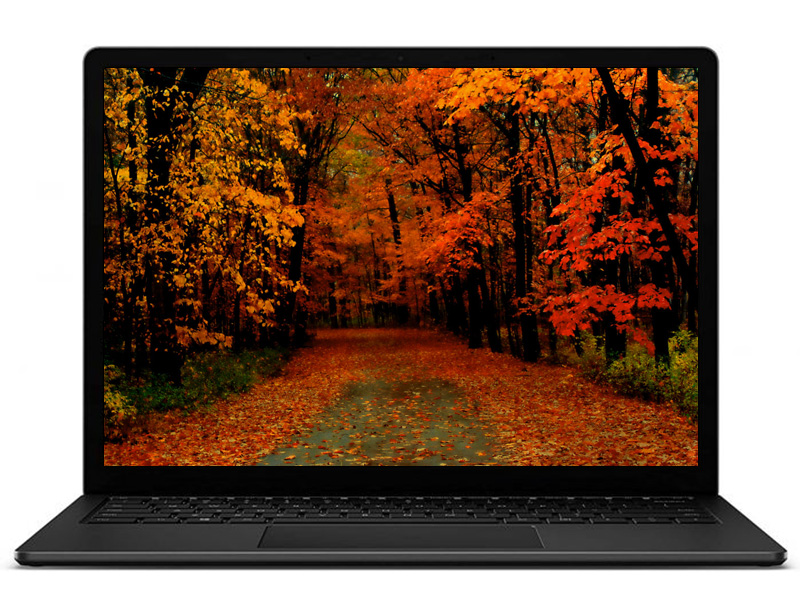 Surface Laptop 4 at PSC Computer Cambodia