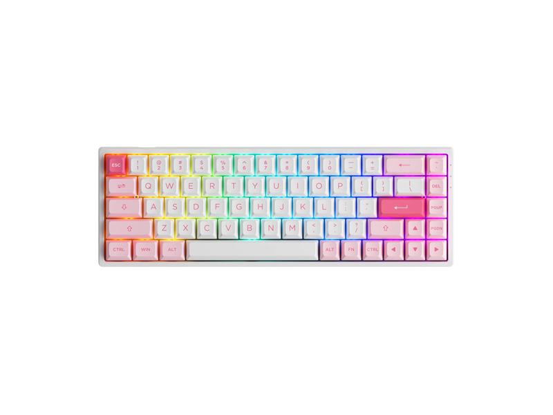 Prunus Lannesiana 3068B Cambodia