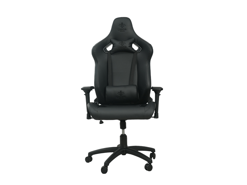 DK-D60 at PSC Computer Cambodia